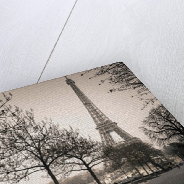 Pathway to Eiffel tower, Paris by Assaf Frank